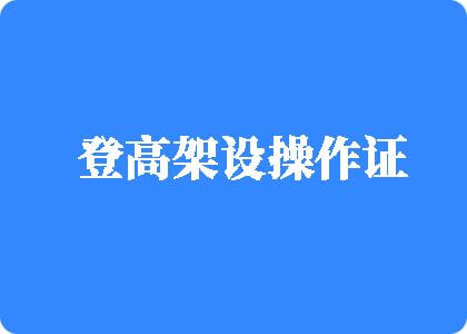 首页123操屄网登高架设操作证